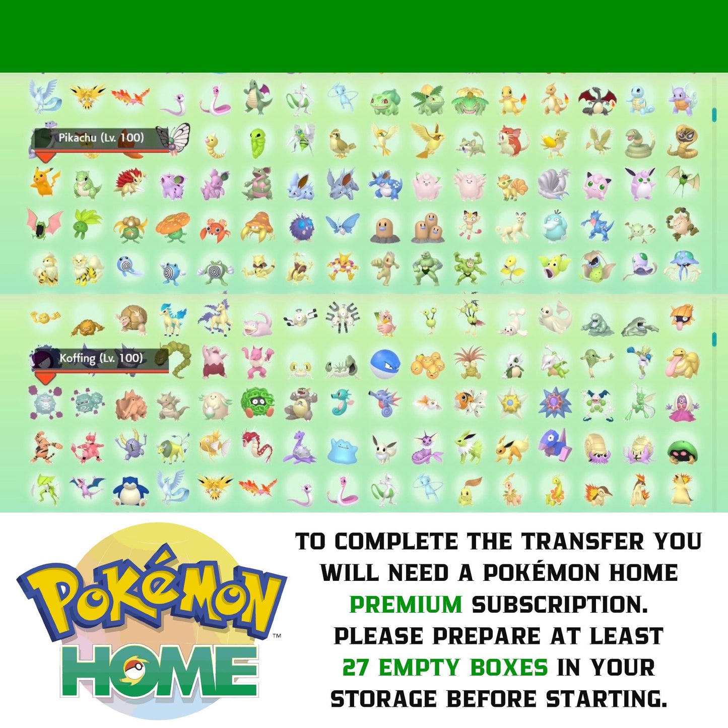 Pokemon HOME 6IV Shiny LIVING POKEDEX / Pokemon Scarlet Violet / Pokemon Sword Shield, Pokemon Lets Go, Pokemon BdSp, Pokemon Legends Arceus
