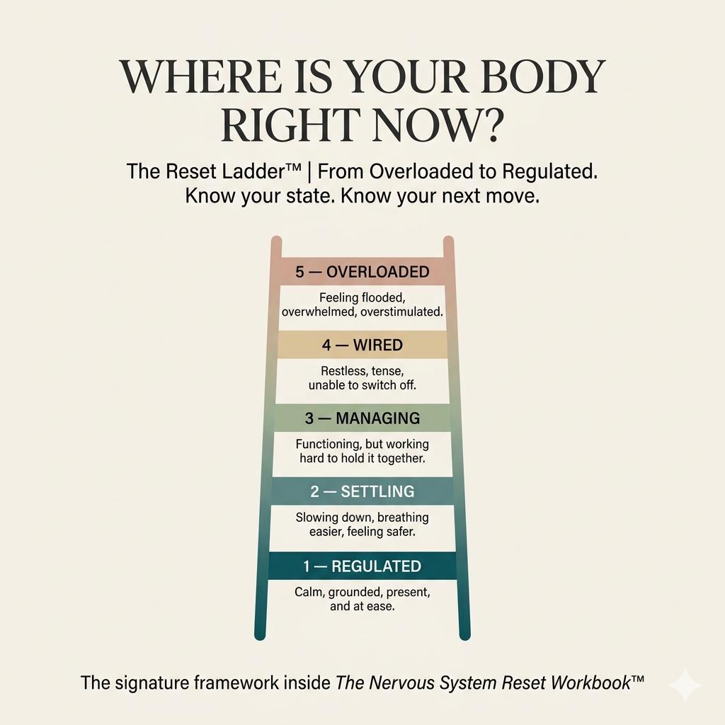 Nervous System Reset Workbook PDF Somatic Healing Workbook Grounding Exercises Anxiety Relief Stress Recovery Burnout Recovery - PokeTradingShop